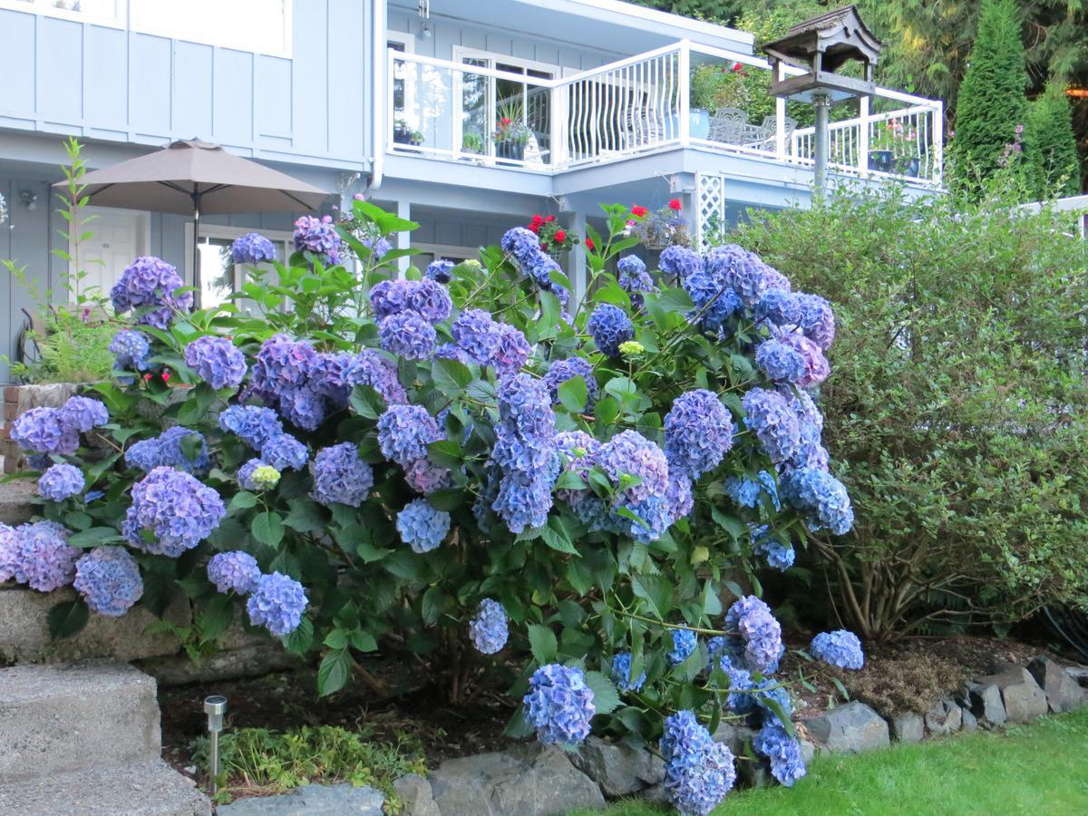 Bed & Breakfast Caprice Roberts Creek